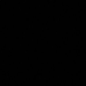 Meet your Posher, Agnes